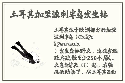 寺庙里的和尚很凶猛